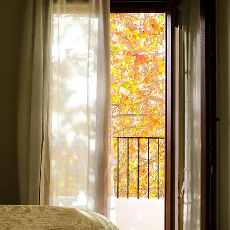 Escapada Rural En La Casa Del Arbol Apartment *